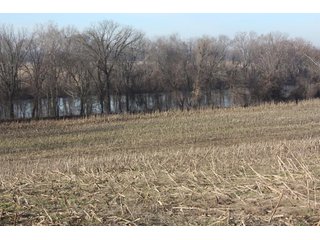 Property photo 7 - LAND AUCTION - 60+/- ACRES IN 1 TRACT IN DAVIESS COUNTY, INDIANA